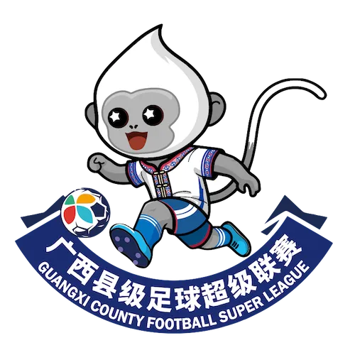 广西县超 钦州市灵山县队3-2防城港市港口区队20260411