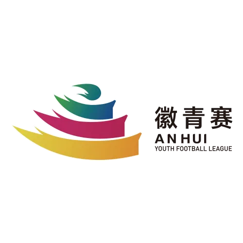安徽省青少年足球联赛 宿州VS铜陵20260919