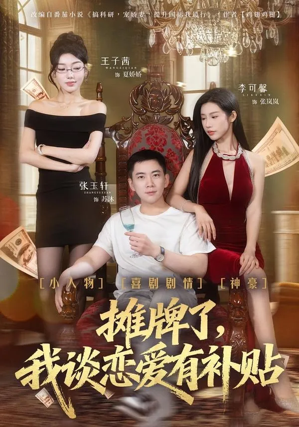 摊牌了，我谈恋爱有补贴