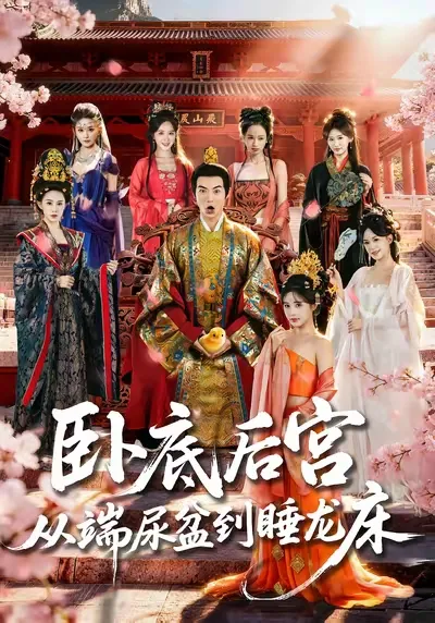 卧底后宫从端尿盆到睡龙床