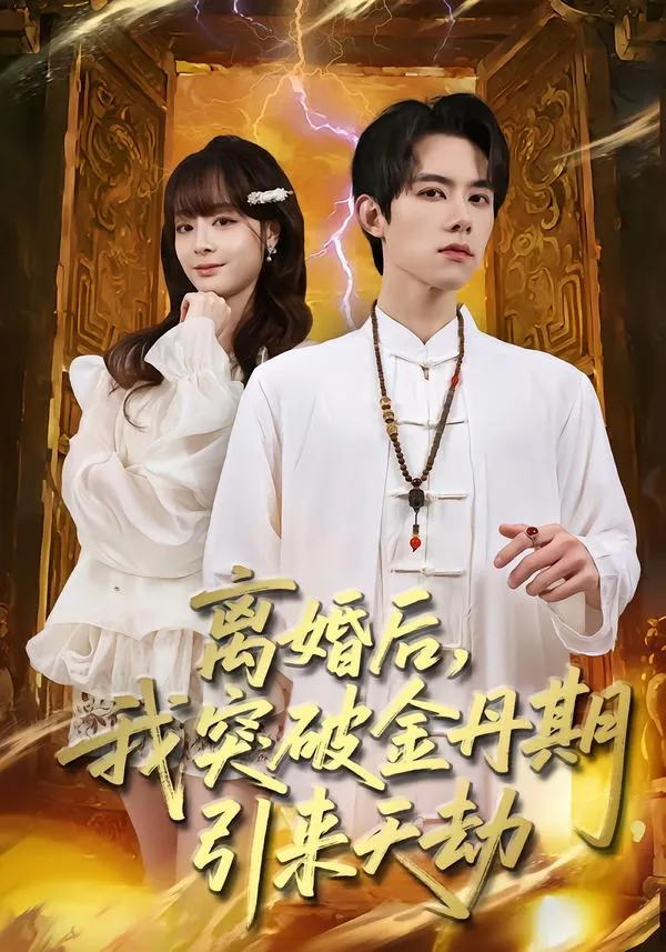 离婚后，我突破金丹期，引来天劫